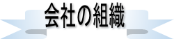 ЊTv